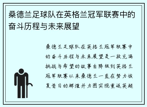 桑德兰足球队在英格兰冠军联赛中的奋斗历程与未来展望